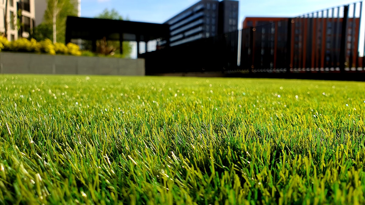 Lawn Cutting